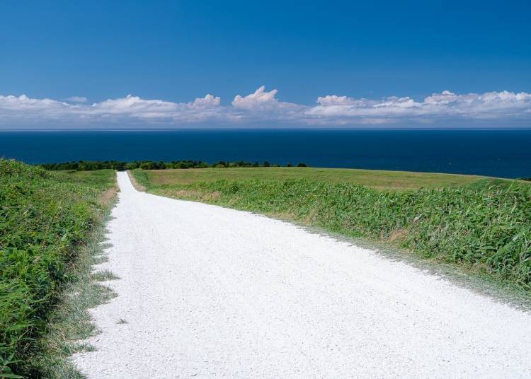 바다와 함께 해변의 멋진 경치