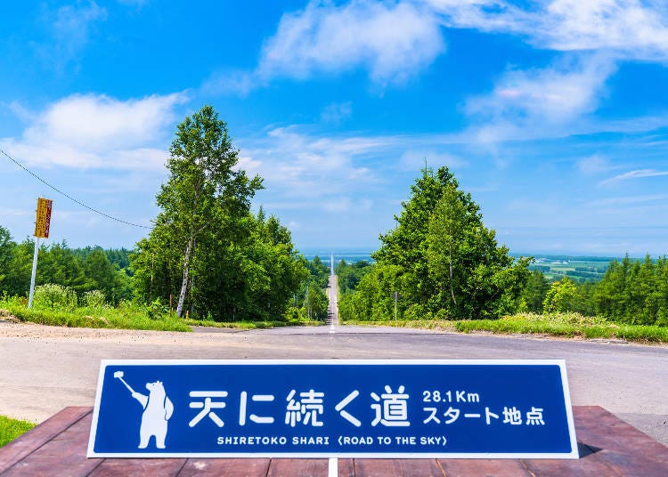 "The Road to Heaven" - A Path Leading to the Heavens (Photo: PIXTA)