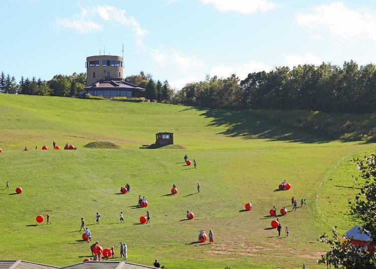 Vast Grass Playground at Takino Suzuran Hillside Park, Photo: PIXTA