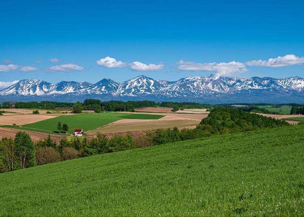 Daisetsuzan National Park (Hokkaido) - Seasonal Guide to the Playground of the Gods