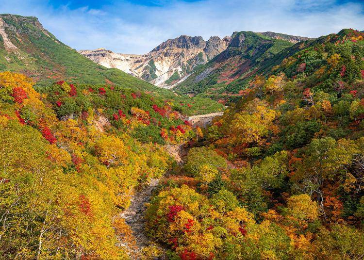 다이세쓰산(대설산) 국립공원의 단풍