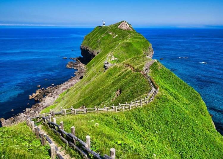 ▲ Cape Kamui on the Shakotan Peninsula (Photo: KKday)