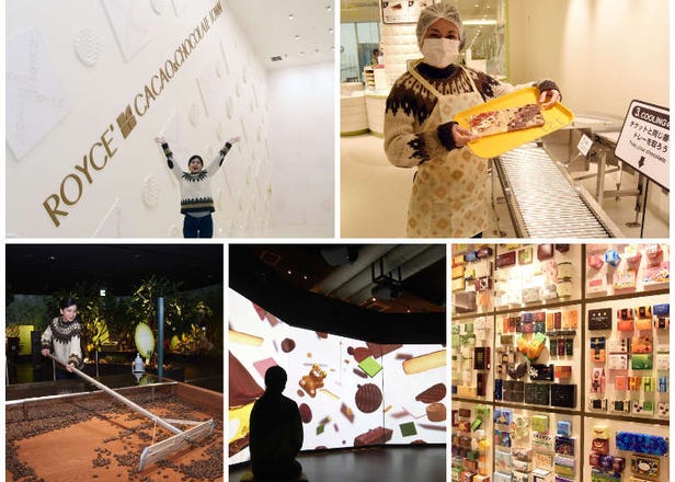Hokkaido's ROYCE' Cacao & Chocolate Town: Fun Factory Tour & Chocolate Making Experience
