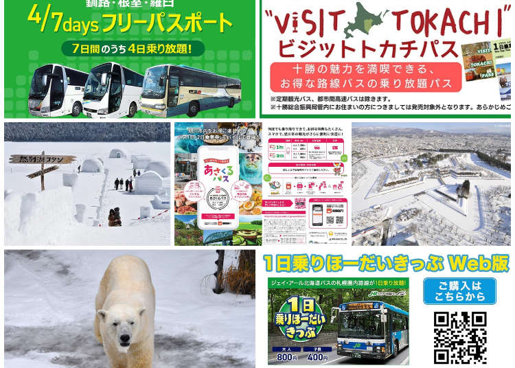 Enjoy Hokkaido's Winter Wonderland: 5 Recommended Bus Passes by Area