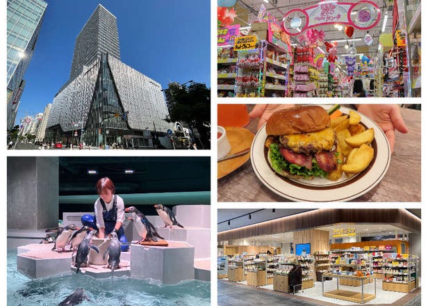 Exploring Moyuk Sapporo: A New Tanukikoji Landmark with an Aquarium and New Donki Store!