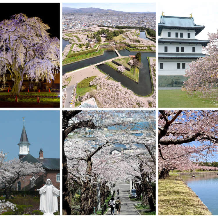 Visiting Hokkaido - LIVE JAPAN