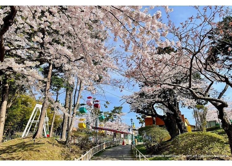 Photo credit: Hakodate & Minami Hokkaido Travel Guide