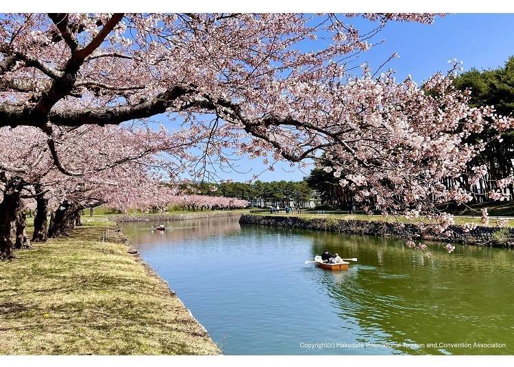 Photo credit: Hakodate City Official Tourism Site