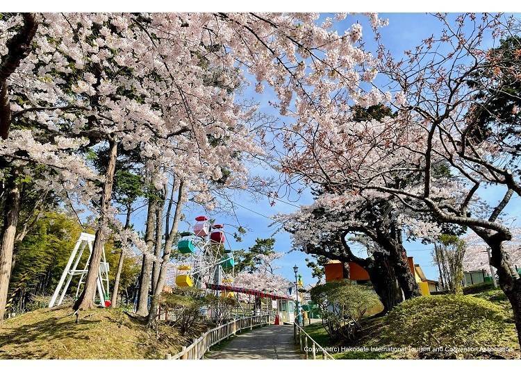 사진 : 하코다테, 미나미 홋카이도 관광가이드