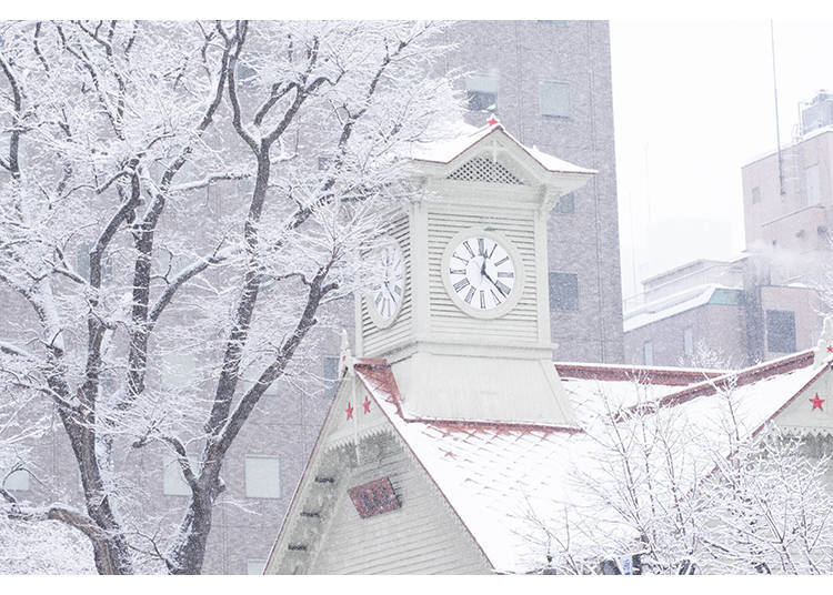 Bulan Januari hingga Februari, saat hawa dingin sedang berada pada puncaknya, Anda bisa melihat Festival Salju Sapporo dan berbagai acara bertema salju di sini. *Sumber gambar: Pixta