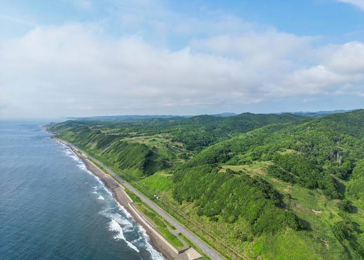 9. Hit the Road on a Scenic Summer Drive
