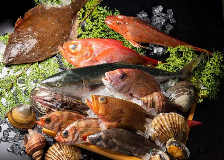 ▲四季折々の活きのいい素材を仕入れ、さまざまな料理に仕立てて提供（写真提供：海へ）