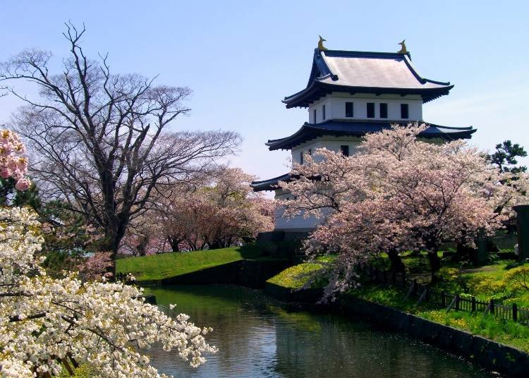 The Matsumae Castle Museum, located in the reconstructed tower of Matsumae Castle. It's a great place to see the cherry blossoms! (Late April-early May)