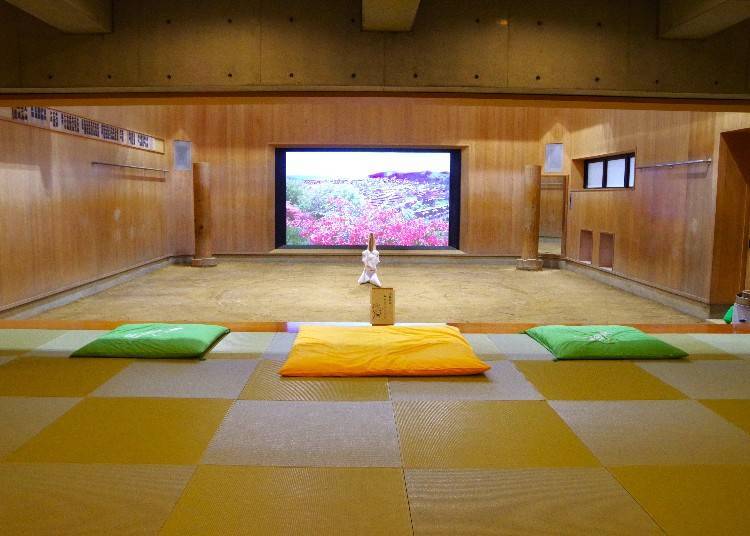 The monitor at the back of the ring displays information about Fukushima and footage from the era when both yokozuna were active.