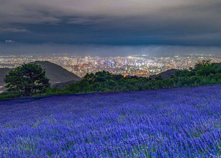 A Stunning Night View from the Observation Parking Lot