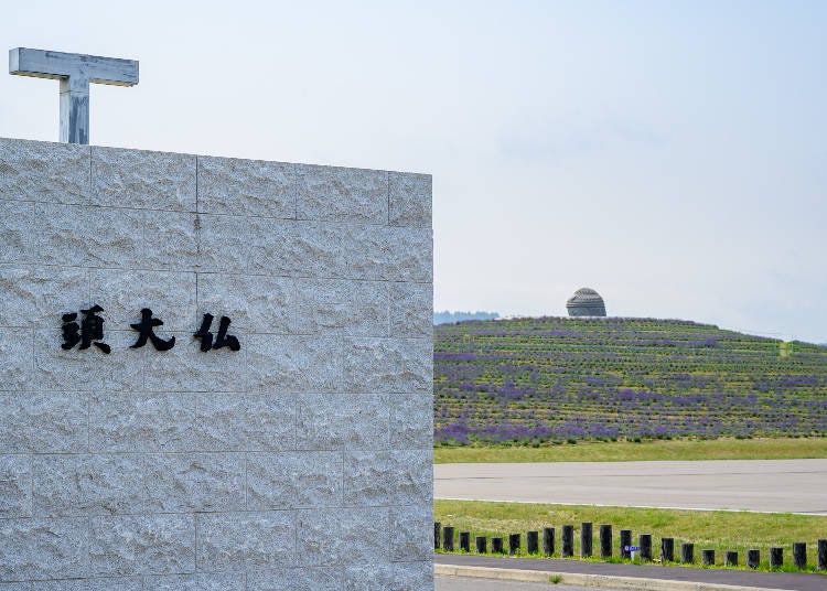 Atama Daibutsu: A Great Buddha Statue Surrounded By Lavender!