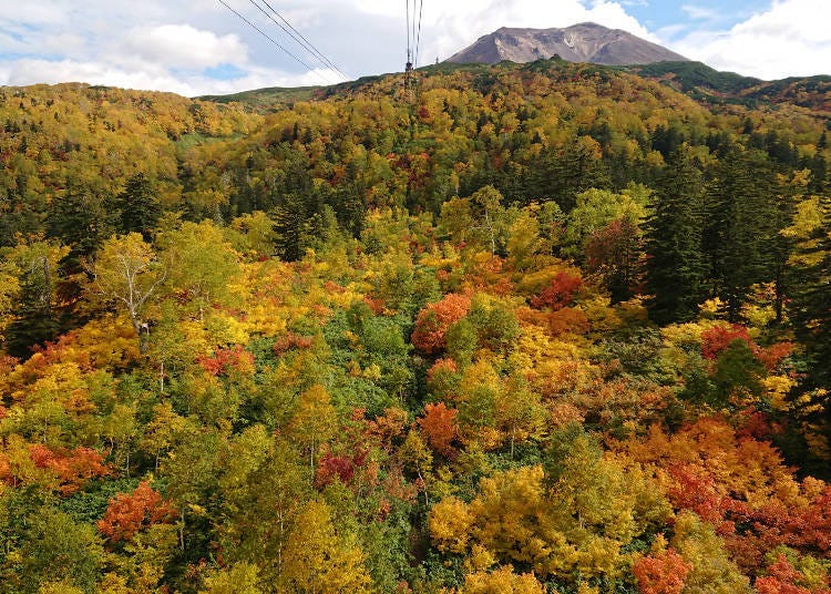 (Photo courtesy of Daisetsuzan Asahidake Ropeway)
