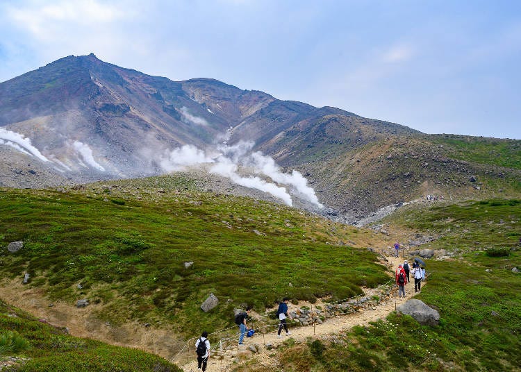 ①산책로 걷기