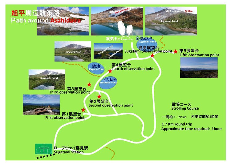 照片提供：旭岳纜車