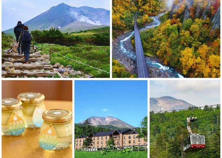 大自然の恵みを全身で浴びよう！「北海道・旭岳エリア」やるべきこと観光ガイド