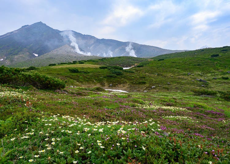 What’s the Climate of the Asahidake Area?