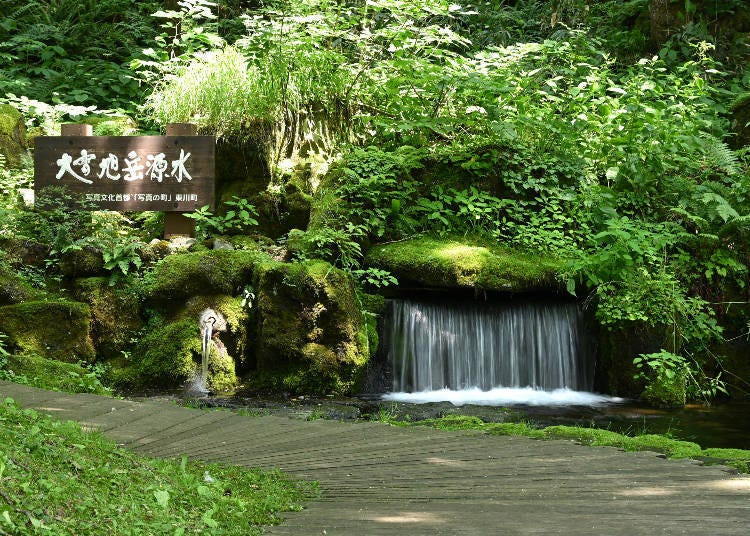 4) A Taste of Nature's Timeless Bounty: The Region’s Famous Waters