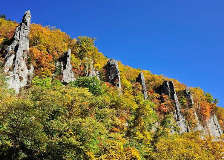 Courtesy of Higashikawa Tourist Association