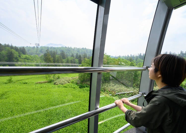 Take the Ropeway to 1,600 Meters!