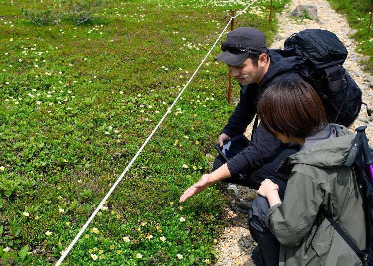Highlight 2: Learn About Mountain Flowers in a Fun and Engaging Way