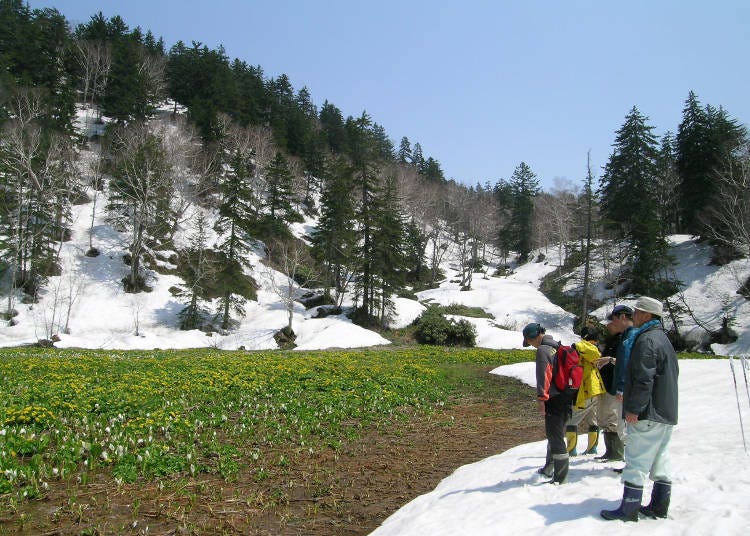 (Photo: Asahidake Visitor Center)