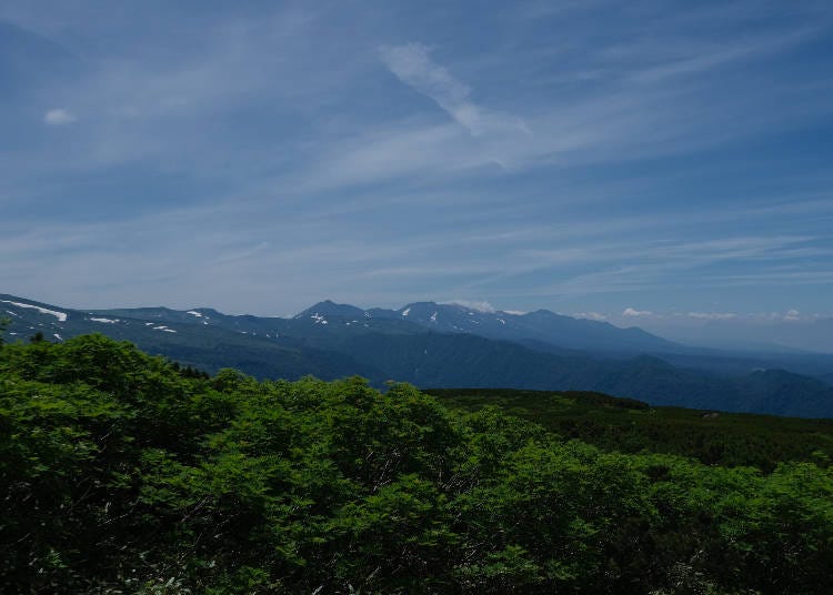 提供：旭岳ビジターセンター