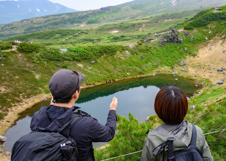 추천 포인트① 산책 목적에 맞춰 가이드를 해준다