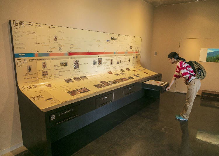 Exhibit Room 1: Dive Into the History of the Jomon Period
