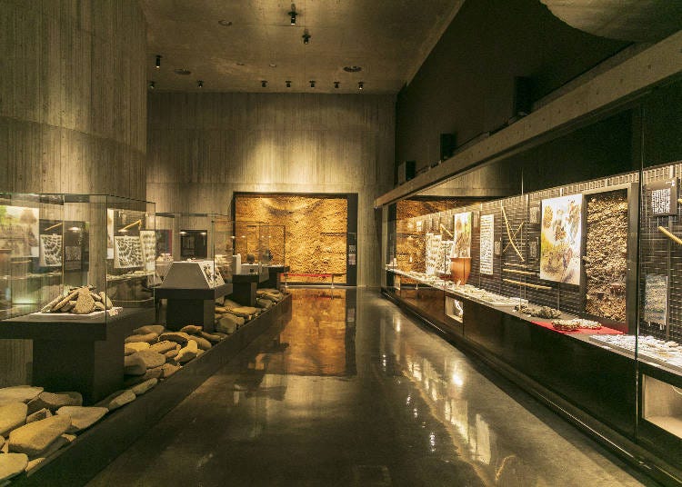 Exhibit Rooms 2 and 3: Appreciate the Wisdom and Craftsmanship of the Jomon People