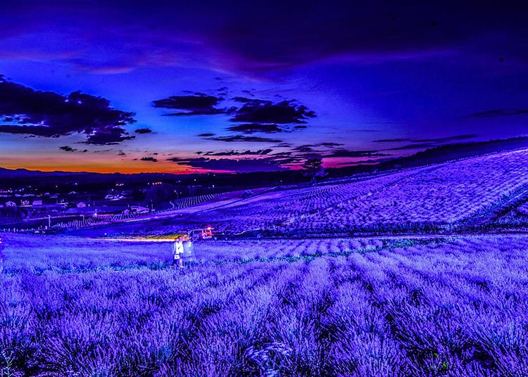7 Iconic Hokkaido locations that will make your Instagram shine