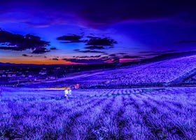 7 Iconic Hokkaido locations that will make your Instagram shine