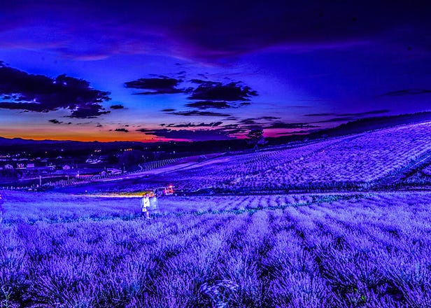 7 Iconic Hokkaido locations that will make your Instagram shine