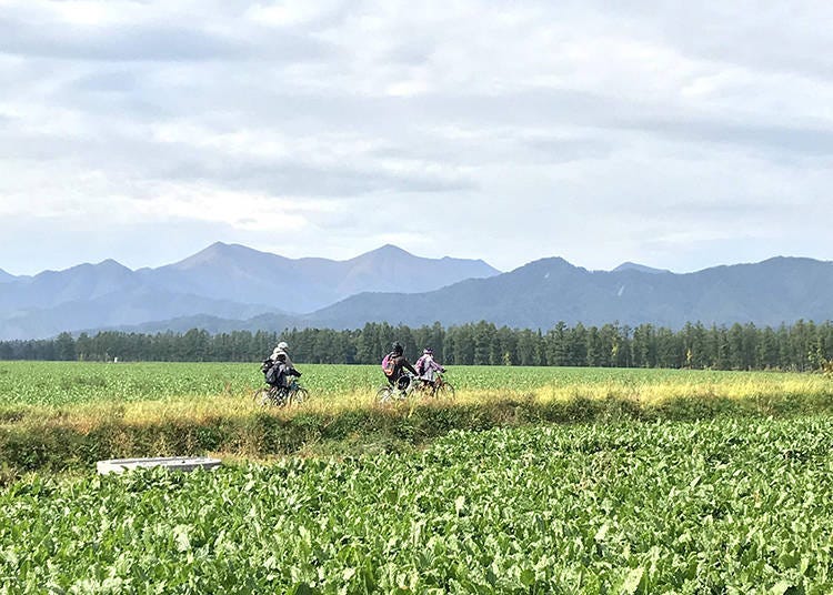 Experience the beauty of the Tokachi Plain through cycling