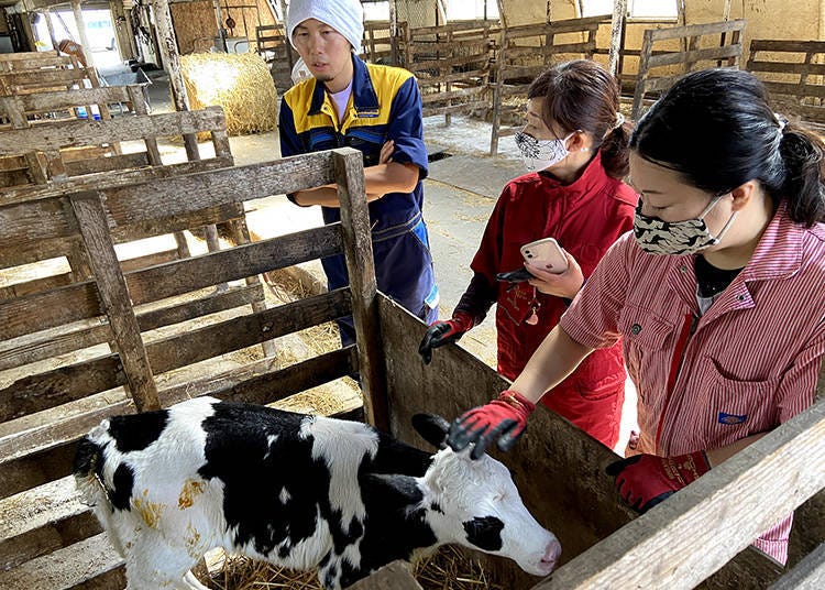 Tours to experience the essence of Hokkaido