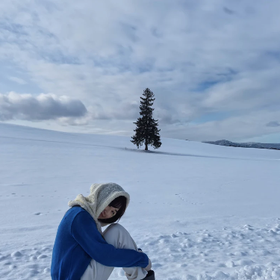 Hokkaido: Asahiyama Zoo & Shikisai-no-oka & Famous Tree & Ningle Terrace Day Trip (From Sapporo)
Photo: (Klook)