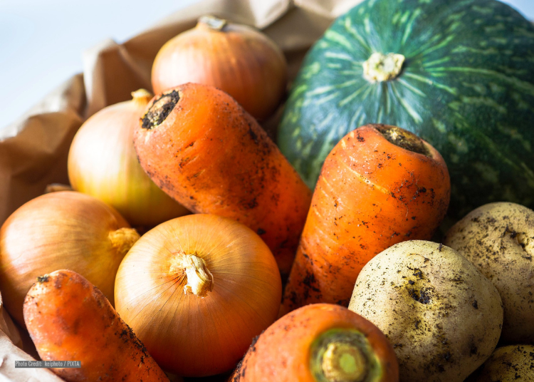 二世谷逛街景點 2.俱知安町超市：補齊食材與生活用品的好去處