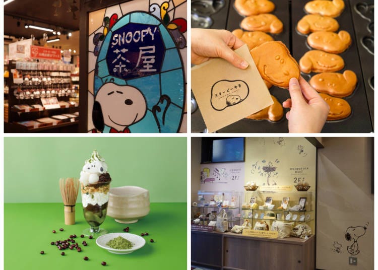 &copy; 2026 PNTS 사진 제공：데라코야