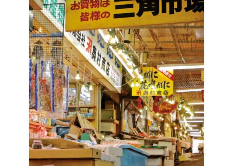 LIVE JAPAN spot-lj0008042