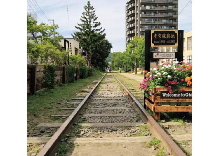 LIVE JAPAN spot-lj0008012