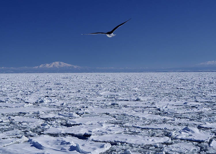 画像提供：ピクスタ