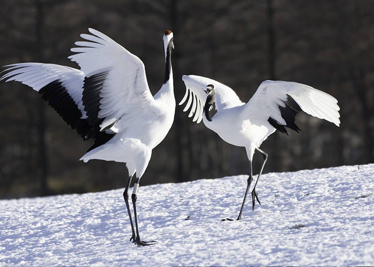 Image courtesy of PIXTA