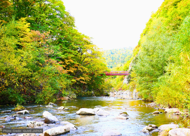 9:30&ndash;10:30 Walk Around the Jozankei Onsen Area (about 60 minutes)