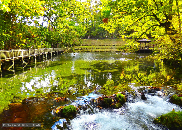 推薦順道停留景點：京極名水「吹出公園」