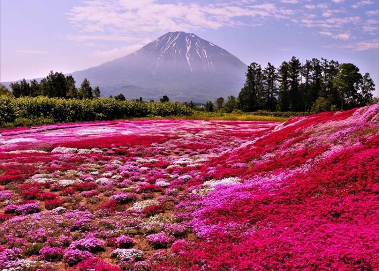 Photo Credit:  &copy;Hokkaido Tourism Organization