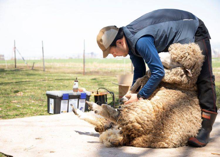 (Photo: Sapporo Tourist Association via PR Times)
